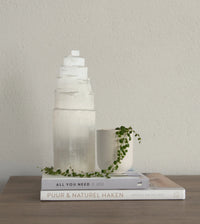 Seleniet lamp