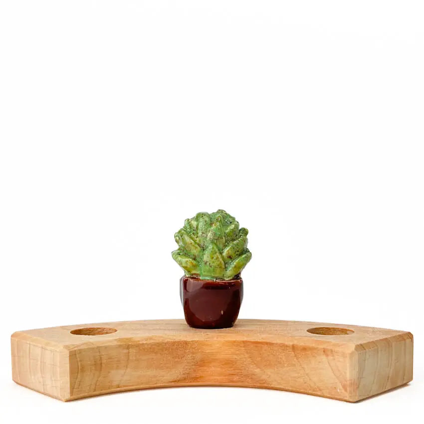 Vetplantje steker