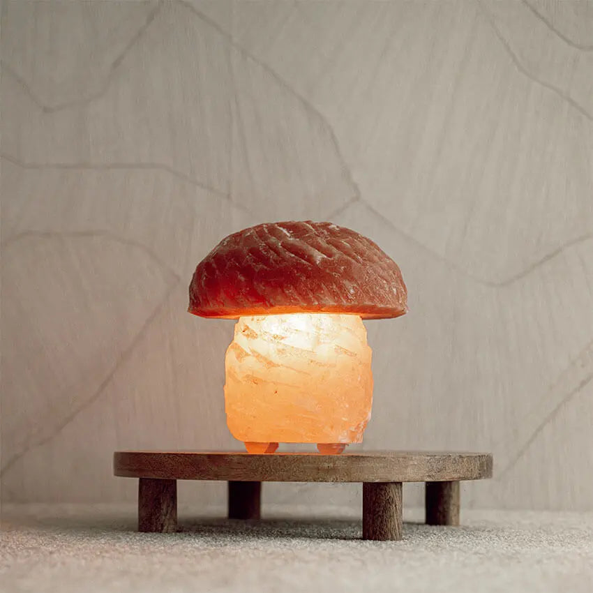 Himalaya zoutlamp paddenstoel