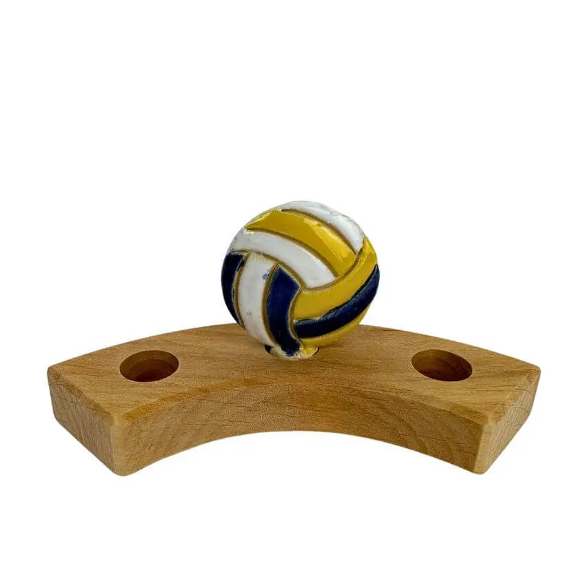 Volleybal steker
